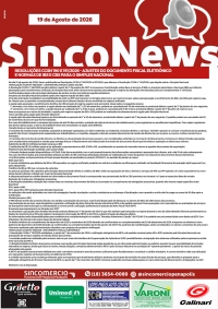 Ajustes do documento fiscal eletrônico e normas de IBS e CBS para o simples nacional.